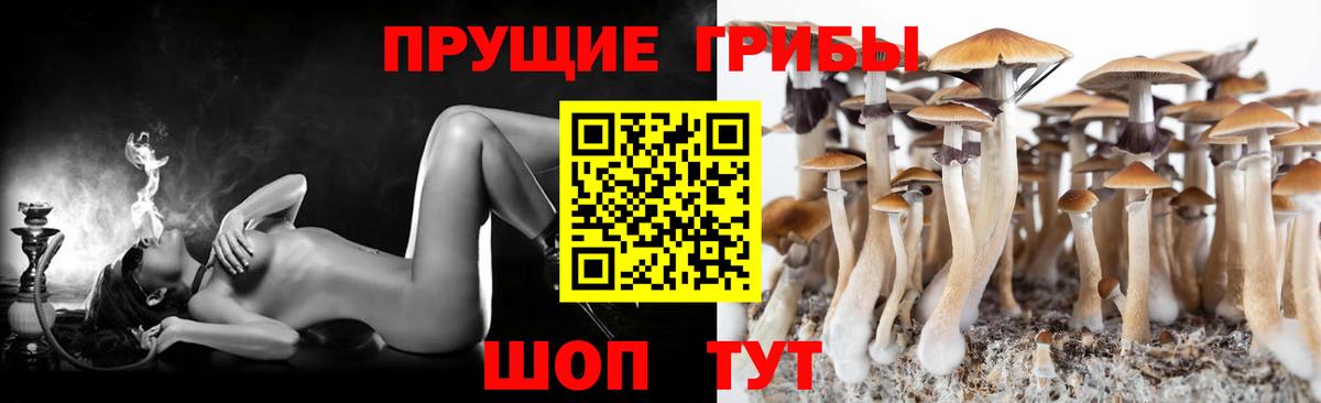 Галлюциногенные грибы мухоморы Уварово
